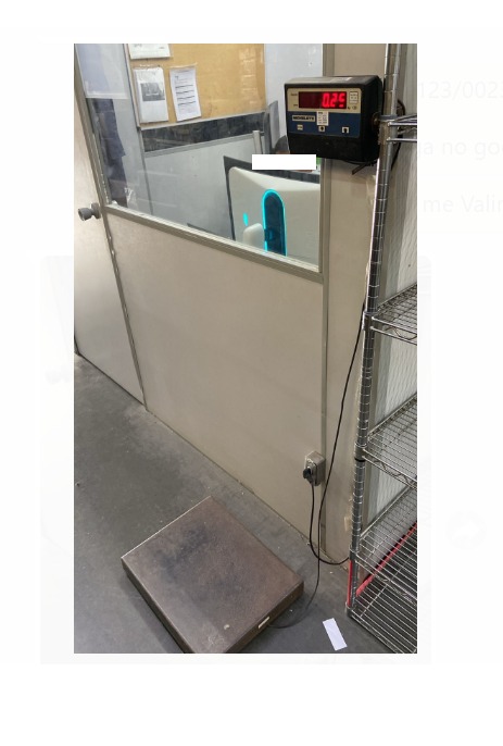 BALANÇA ELETRONICA 